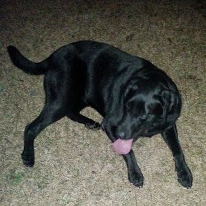 Meet your Posher, Trish